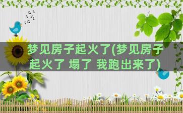 梦见房子起火了(梦见房子起火了 塌了 我跑出来了)